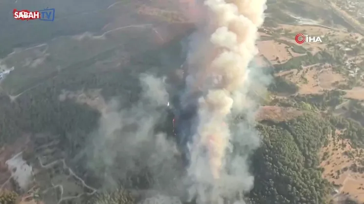 İzmir Buca'da orman yangını