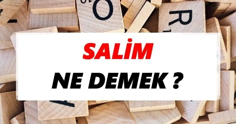 salim ne demek tdk ya gore salim sozluk anlami nedir tdk anlami haberleri