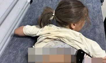 7 yaşındaki Zeynep 3 köpeğin saldırısına uğradı: Kanlar içinde kalan küçük kız tedavi altında! #mardin