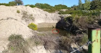 Su dolu çukurda kadın cesedi bulundu #antalya