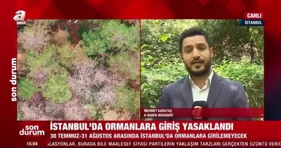 İstanbul Valiliği: 31 Ağustos’a kadar ormana giriş yasaklandı