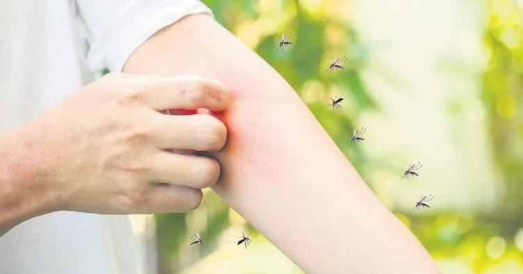 Yaz aylarında alerjiler hayatınızı kabusa çevirmesin