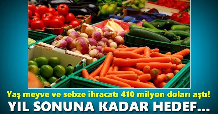 Rusya’ya yaş meyve sebze ihracatı 410 milyon doları aştı!