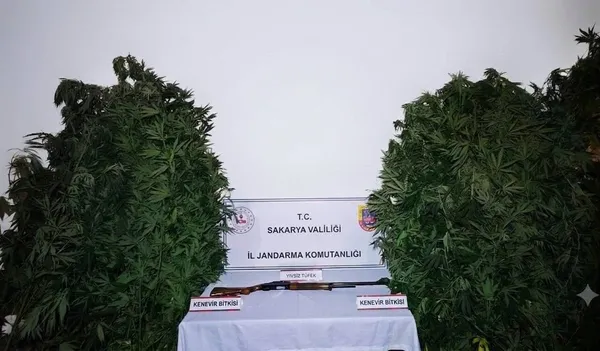 kenevir-yetistirenler-jandarmadan-kacamadi-3-tutuklama-1786114998793.jpg