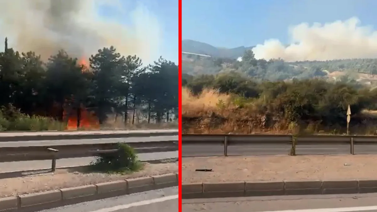 Bursa'da üç noktada aynı anda yangın...Uludağ'ın etekleri yanıyor: Çok sayıda ekip sevk edildi haber görseli