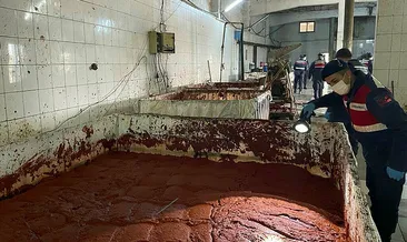 İzmir’de mide bulandıran görüntüler! İçeri giren Jandarma ekipleri şaştı kaldı