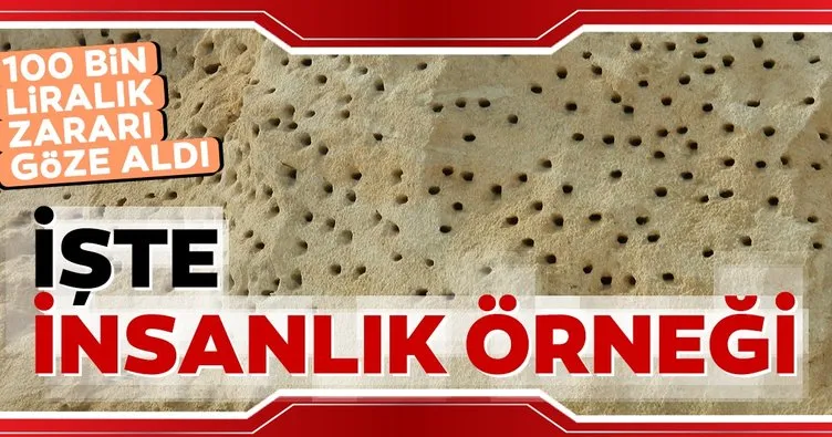 İşte insanlık örneği