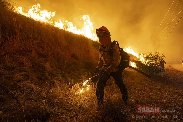 Los Angeles günlerce alevlere teslim olmuştu! Trump’tan dikkat çeken yorum: Bombayla vurulmuş gibi