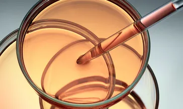 Laboratuvarda şans eseri başlayan serüven: Kimyanın yeni altın anahtarı bulundu