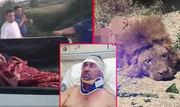 Antalya'da aslan tarafından saldırıya uğramıştı! Talihsiz çiftçi konuştu: