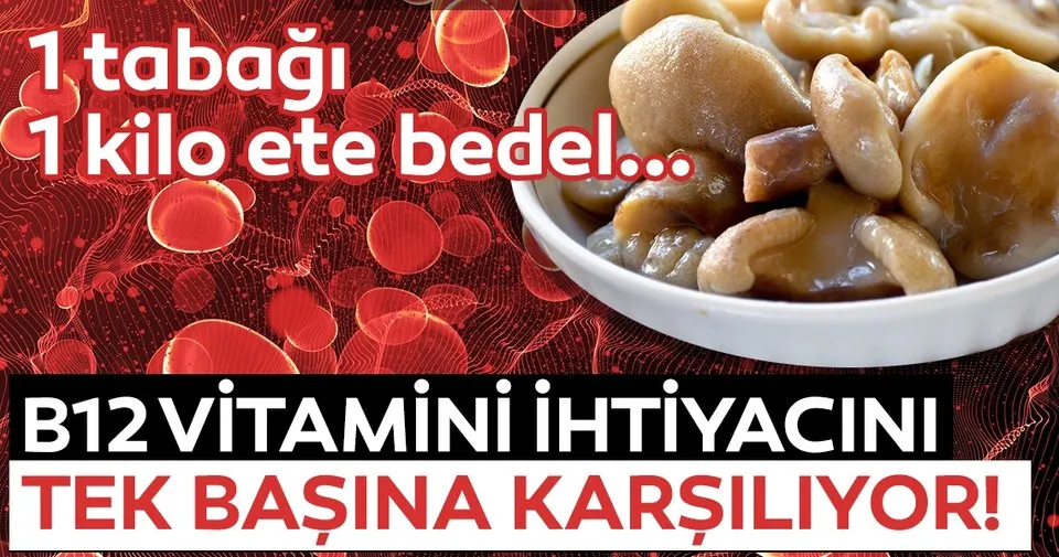 B12 Eksikligine Ne Iyi Gelir B12 Eksikligi Nasil Gecer B12 Eksikligine Iyi Gelen Yiyecekler Saglik Haberleri