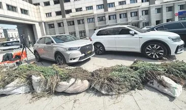 Orkinos avının mahsulleri sergilendi