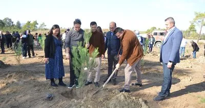 Serik’te fidanlar toprakla buluştu #antalya