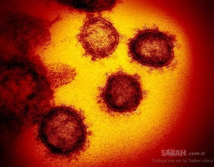 SON DAKİKA HABERİ: Dünya genelinde korkutan corona virüs bilançosu! İşte ülke ülke vaka ve ölüm sayıları…