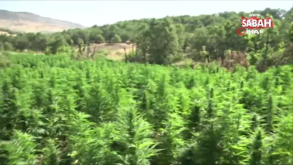 son dakika diyarbakir da son yillarin en buyuk uyusturucu operasyonu video