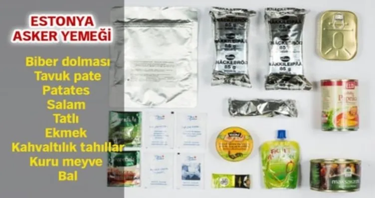 Ulkelere Gore Ordularin Asker Yemekleri Galeri Dunya