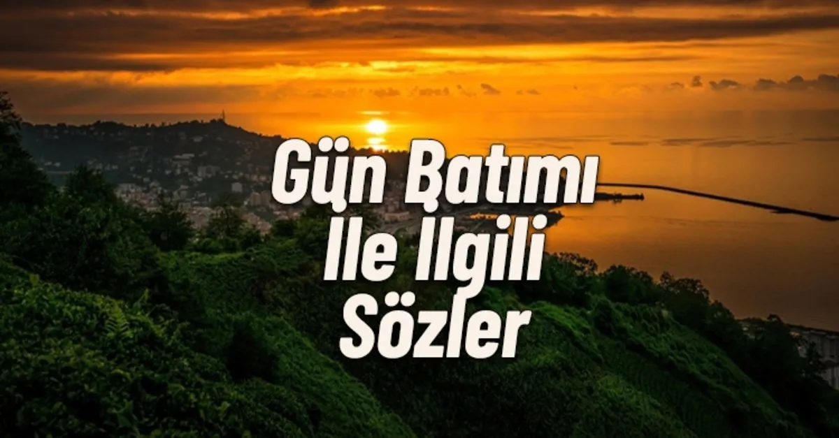 başarılı insanların hayat hikayeleri black voyeur porn