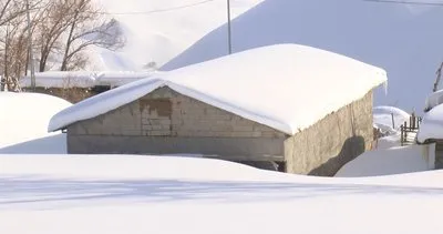 Muş'ta köy kara gömüldü #mus
