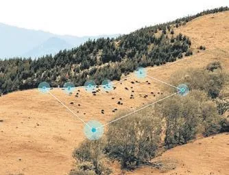 Çobanlara gerek kalmadı! – MEVLÜT TEZEL