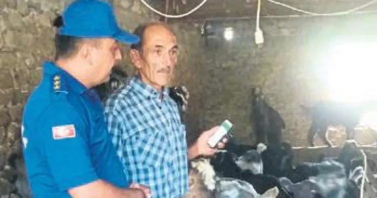 Çalınan keçileri jandarma buldu