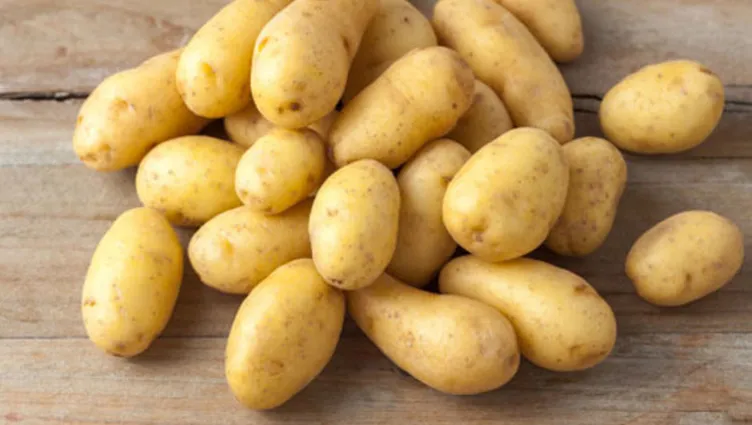 Yağ yakmak istiyorsanız aç karnına her sabah…