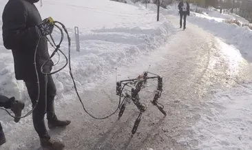 Kendi kendine yürümeyi öğrenen robot: DyRET