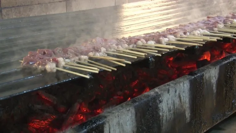 Kilosunun 8 katı çöp şiş yedi: 25 bin TL’lik ödülü kaptı!
