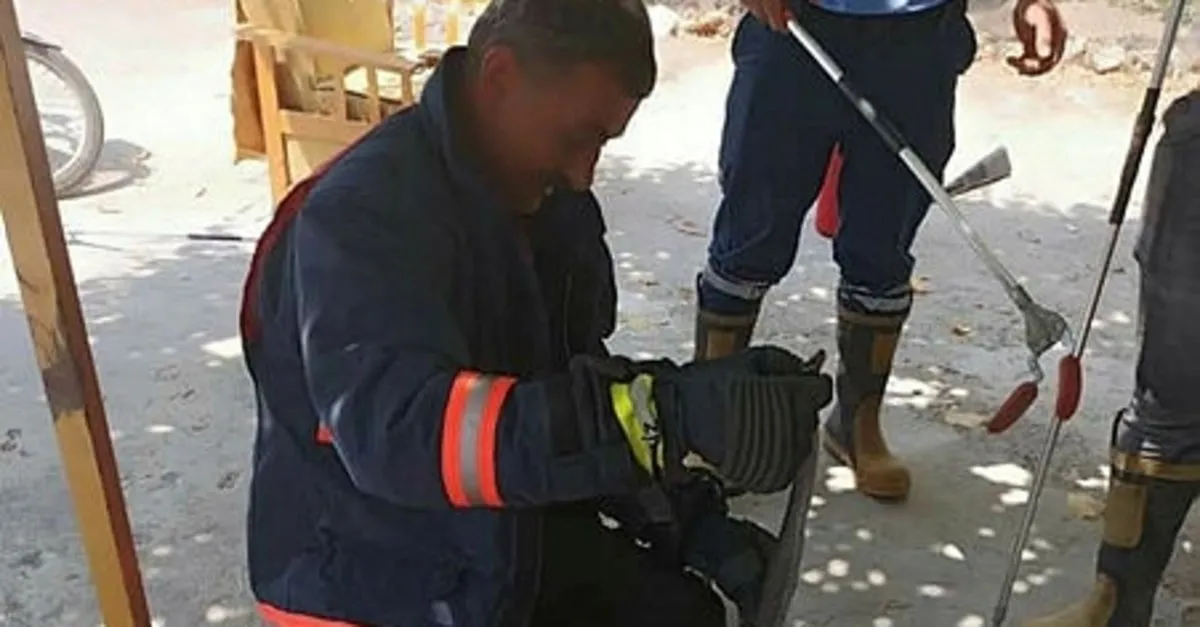 mutfakta 2 metrelik yilan panigi son