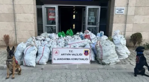 artvinde-uyusturucu-operasyonu-502-kilo-esrar-ele-gecirildi-1724911918429.jpg