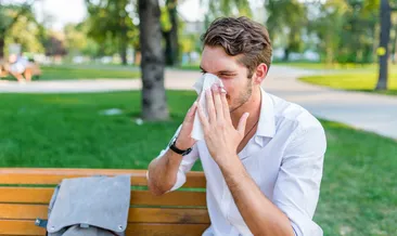 Polenler de sinüziti tetikliyor