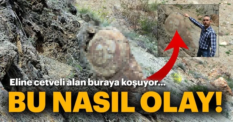 Bu kayayı görenler gözlerine inanamıyor!