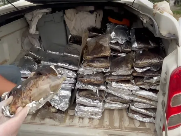 icisleri-bakanligi-duyurdu-samsunda-uyusturucu-madde-imalatcilarina-operasyon-132-kilo-toz-esrar-ele-gecirildi-1785576671186.jpg