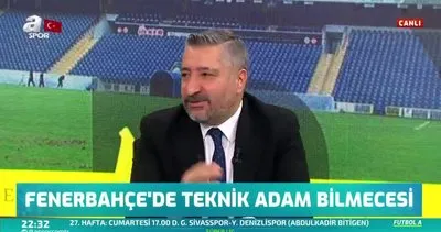 Mircea Lucescu, Fenerbahçe’yi reddetti