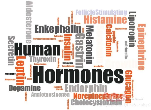 İştahınızı yöneten hormonları harekete geçirecek mucize besinler ile zayıflayın!