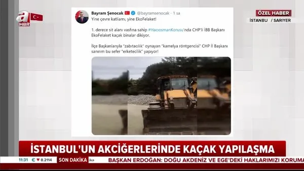 İstanbul'un akciğerlerine kaçak yapı! Ekrem İmamoğlu ve Canan Kaftancıoğlu'na tepki | Video