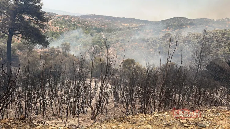 Muğla’daki faciaya sebep olup, tutuklanmışlardı: Baba-oğul yangını bakın nasıl çıkarmış! İfadeleri pes dedirtti