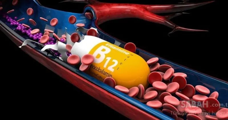 b12 vitamini nedir eksikligi