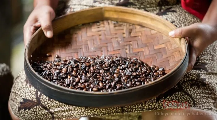 Kilosu bin dolar! İşte dünyanın en pahalı kahvesi… Galeri