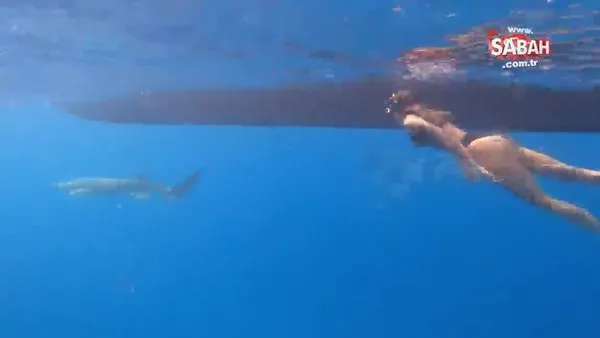 Zeynep Alkan köpek balıklarıyla yüzdü, sosyal medyada yorum yağdı | Video