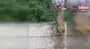 Sulama kanalına düşen karacayı boğulmaktan kurtardı | Video