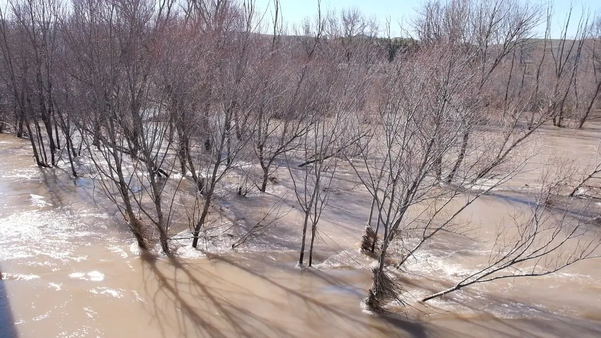Sivas’ta şiddetli yağmur nedeniyle Kızılırmak Nehri taştı: Köy yolu ulaşıma kapandı! Sivas’ta şiddetli yağmur nedeniyle Kızılırmak Nehri taştı: Köy yolu ulaşıma kapandı!