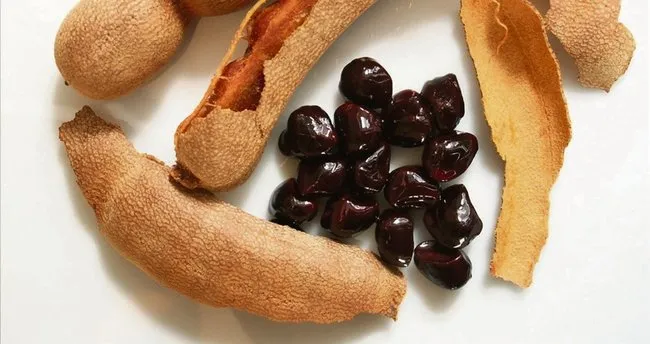 Demirhindinin faydaları nelerdir, neye iyi gelir? Demirhindi nasıl kullanılır ve ne işe yarar?