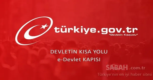 e-Devlet'e bir hizmet daha eklendi! İşte e-Devlet'in yeni hizmeti
