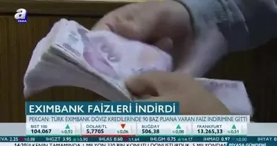 Türk Eximbank faizleri indirdi
