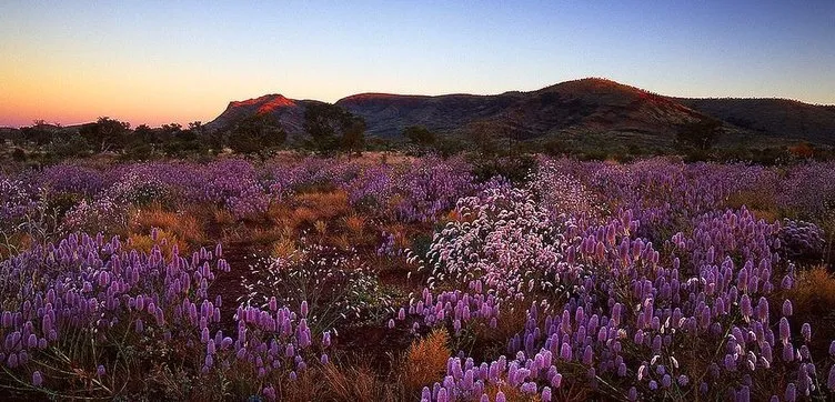 Batı Avustralya’nın doğal güzelliği