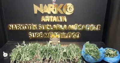 Antalya'da uyuşturucu operasyonu: 26 tutuklu #antalya
