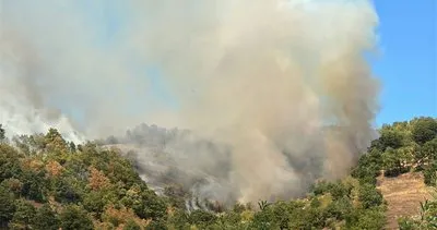 Orman yangına havadan ve karadan müdahale sürüyor #duzce