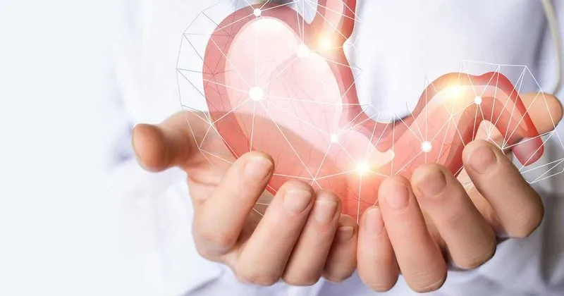 mide agrisina kesin cozum evde dogal ve bitkisel yontemlerle siddetli mide agrisina ne iyi gelir saglik haberleri