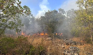 Diyarbakır’daki örtü yangını söndürüldü!