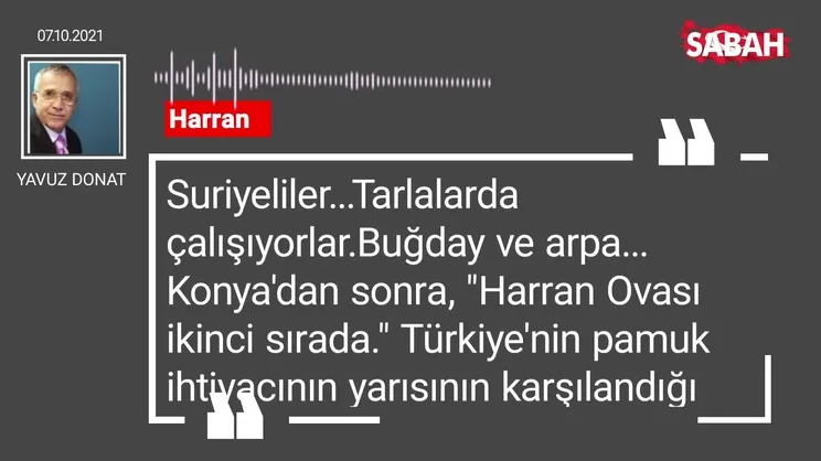 Yavuz Donat | Harran